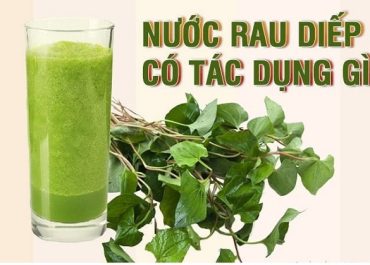 Review uống rau diếp cá trị mụn có hiệu quả không - Chuyên gia giải đáp