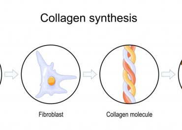 Collagen có tác dụng gì? 7+ ưu điểm đặc biệt có thể bạn chưa biết