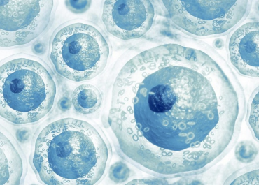 Tế bào gốc có nguy hiểm không? Bạn hỏi - Chuyên gia giải đáp